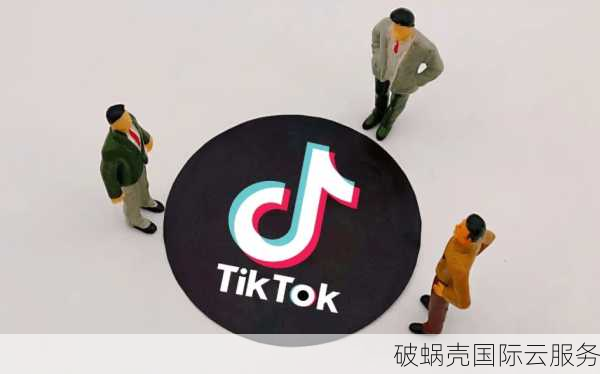 破蜗壳 Tiktok服务器：稳定可靠的云计算服务商