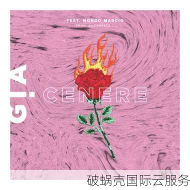 华纳云：开年采购大促，CN2 GIA+1G大带宽优化回国，物理服务器4.5折起