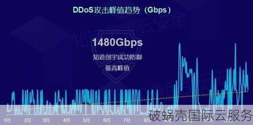 Sharktech云主机：DDoS防护升级至100Gbps