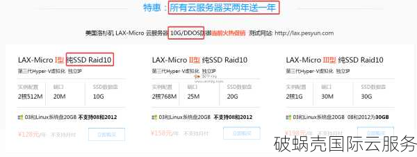 10gbiz：万兆带宽服务器全面解析！优惠码大放送，速来抢购