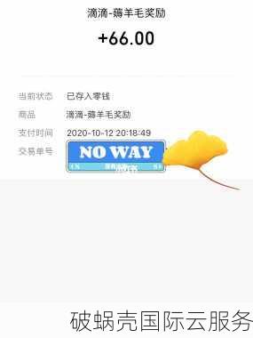 RAKsmart免费额度大揭秘：新用户10美金余额如何申请？