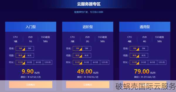 无忧云新春特惠，高防云服务器秒杀价