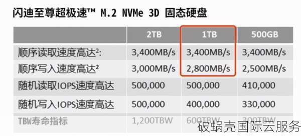 年末大促！VPS直降4折，背景大牌加持，2006年老牌品牌再度惊艳