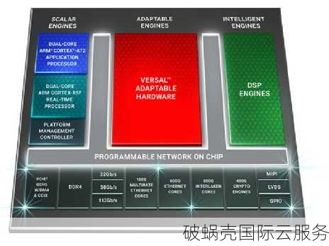 全新主机服务金斗云，性价比之选