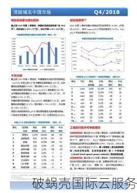 co域名究竟是什么？揭秘神秘身份