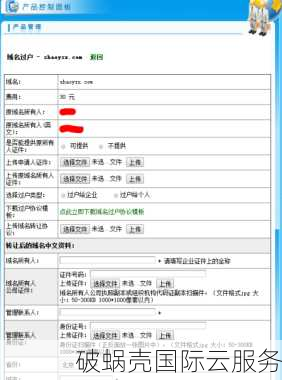 域名转出必备：材料、注意事项全解析