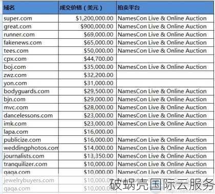 co域名独特魅力揭秘！投资前景如何？