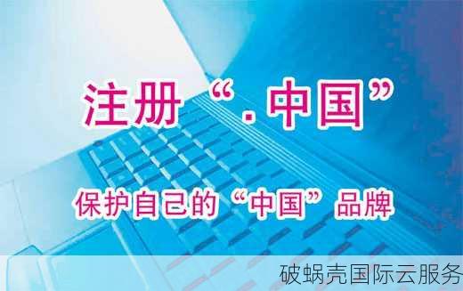 中文域名：互联网新宠儿还是鸡肋？揭秘中国域名的独特魅力