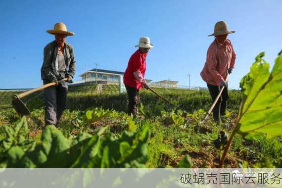 企业为何如此疯狂注册域名？揭秘背后的商业密码