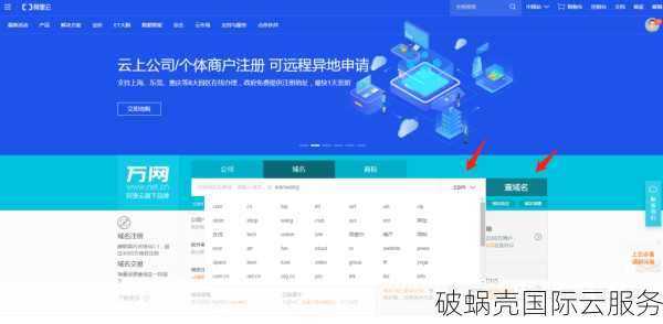 中文域名购买揭秘：避坑指南