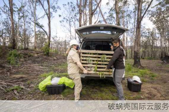 商标与域名：区别与优势，解密两者关系及应用范围