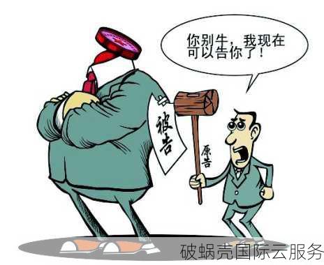 了解域名争议裁决：案例分析与法律问题解析