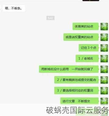 权重域名对SEO影响深远：解析权重域名的定义及其在搜索引擎优化中的重要性