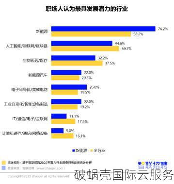 in域名：印度国家顶级域名注册指南及投资前景分析