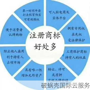 域名申请后显示注册中怎么办？如何解决？详细解决方案和建议