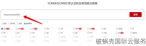 net域名：全球商业品牌与国际形象的首选选择，逐步打破早期限制，如今适用于各行各业