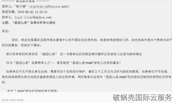 详解域名反向侵夺与域名抢注的区别及其法律后果