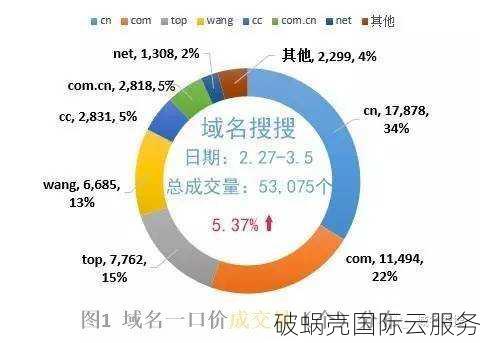 探索Bingo域名：价值、管理和发展前景综述