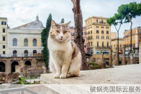 加泰罗尼亚：.cat域名的故乡和新一代顶级域名的崛起